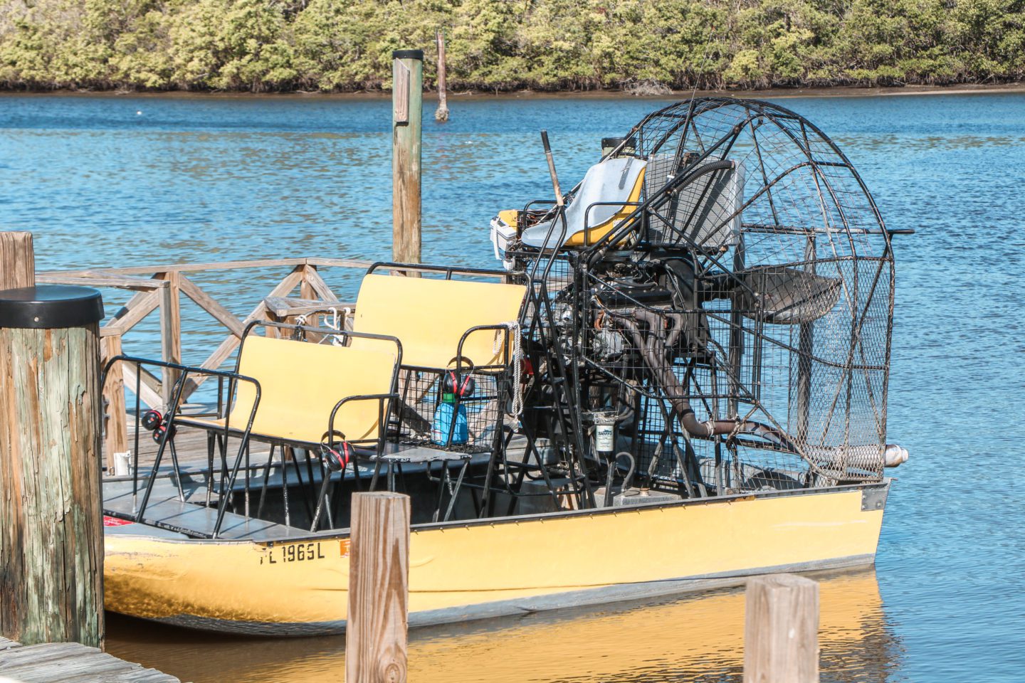 Airboat Tour in the Everglades
