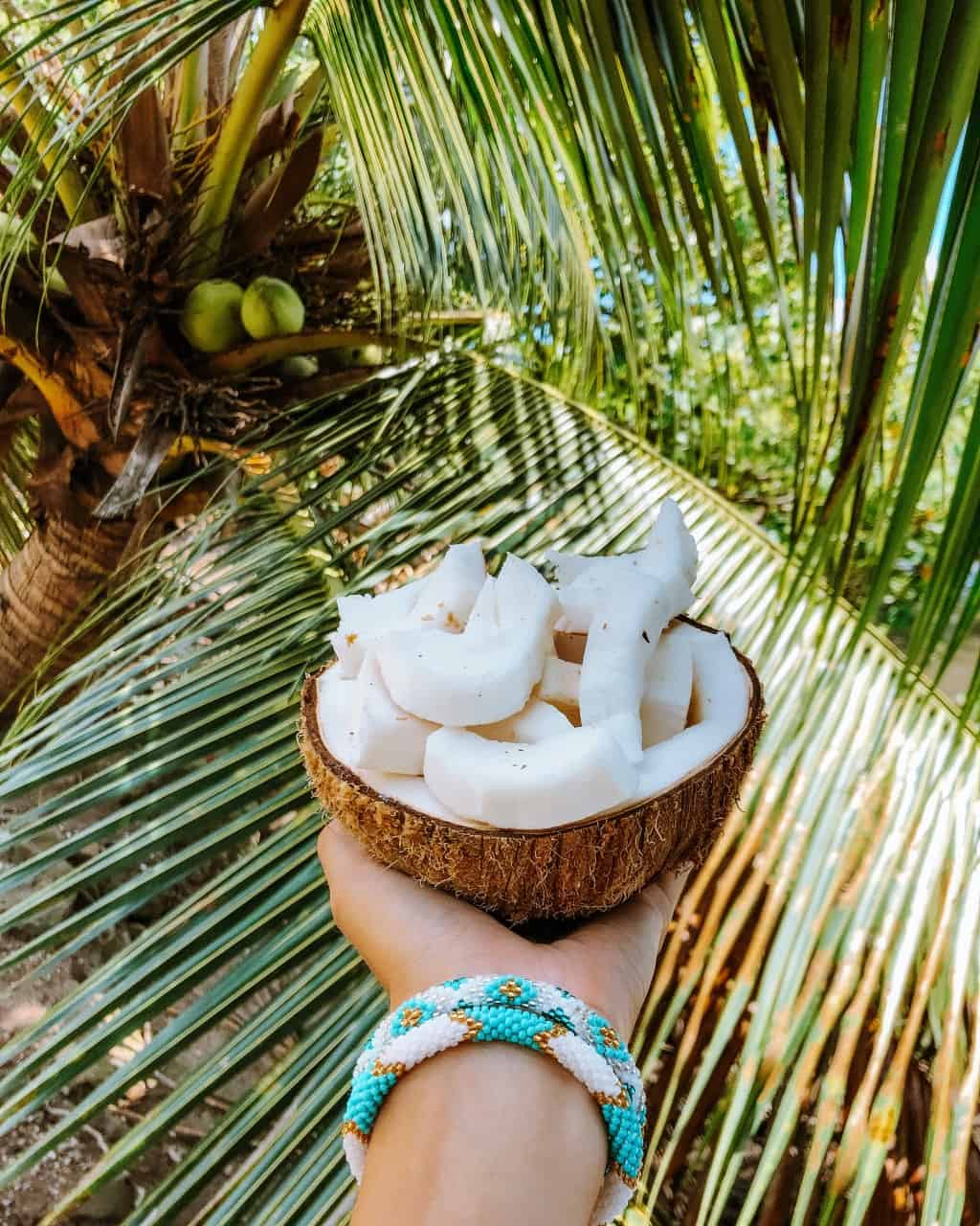 Fresh Coconut in Moorea