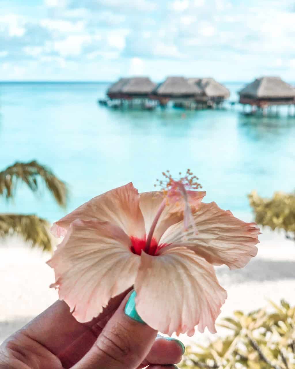 Hilton Moorea Lagoon Resort & Spa