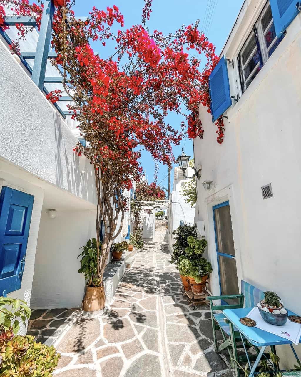 A picturesque cobblestone alley in Marpissa, Paros, flanked by traditional white houses adorned with vibrant bougainvillea flowers.