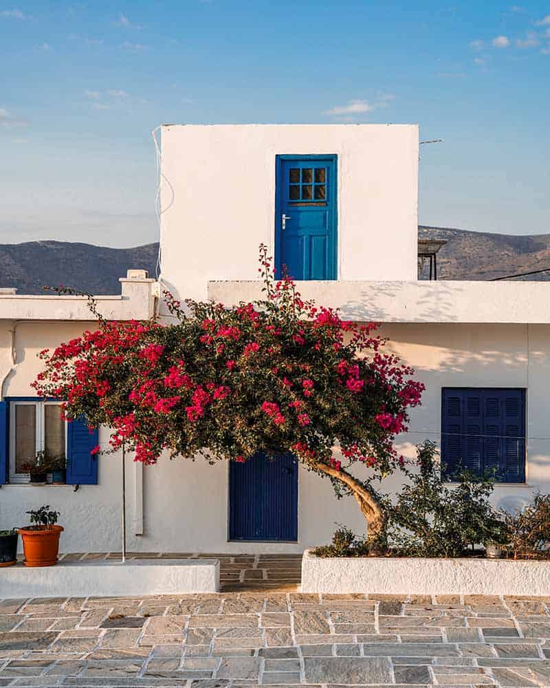 A charming white house with vibrant blue doors and windows, and a blooming bougainvillea tree adding a pop of color in the foreground.