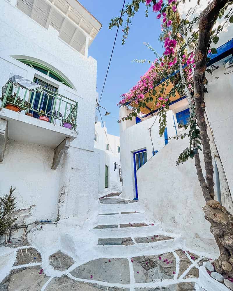 Ios Town showcasing typical white houses, and cobblestone alleys, adorned with vibrant blooming bougainvilleas.